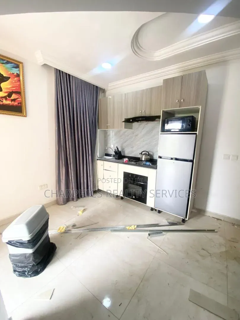 Furnished Studio Apartment in Lekki Phase 1 for rent in Lekki Phase 1