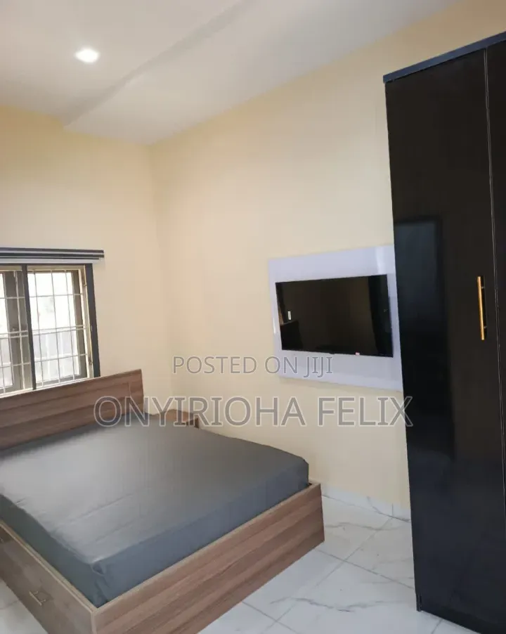 Furnished Studio Apartment in Naf Valley, Asokoro for rent in Asokoro