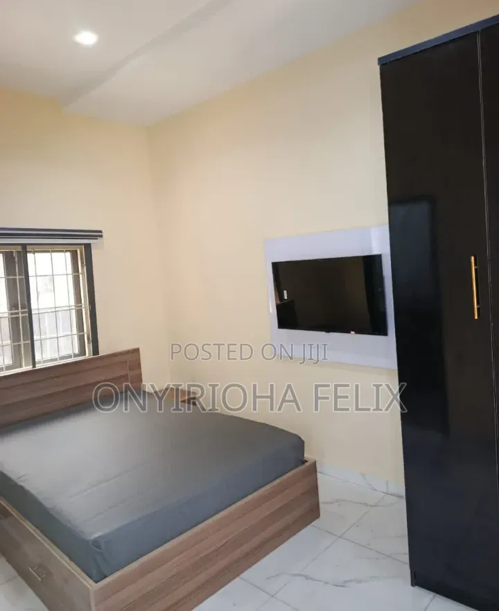 Furnished Studio Apartment in Naf Valley, Asokoro for rent in Asokoro