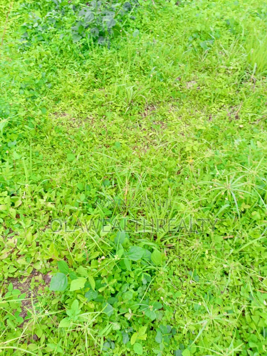 2.15 Hectares Comprehensive Development Land At Jahi in Maitama