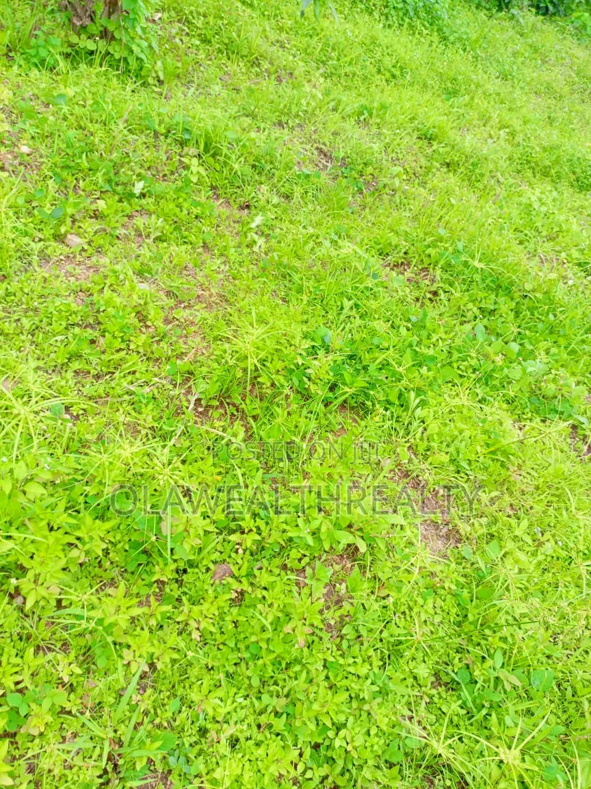 1.1hectare Commercial Land at Guzape 2 in Guzape District