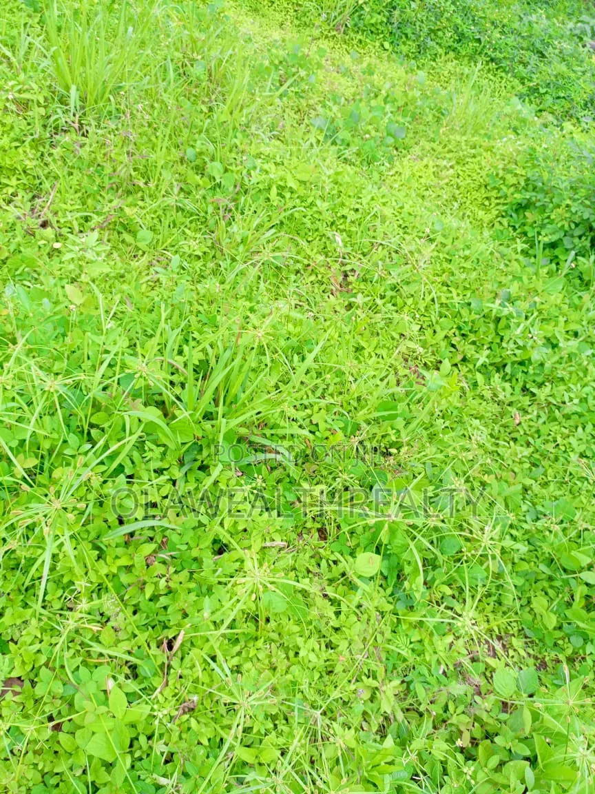 100 Hectares Housing Estate Land Along Kubwa Deidei Expressway in Dei-Dei