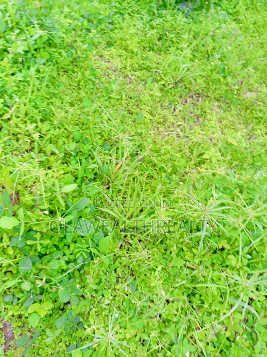 100 Hectares Housing Estate Land Along Kubwa Deidei Expressway in Dei-Dei