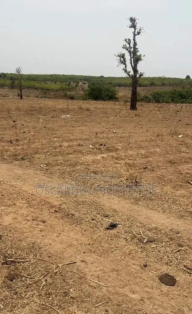 65 Hectares of Residential Land Available in Idu in Idu Industrial