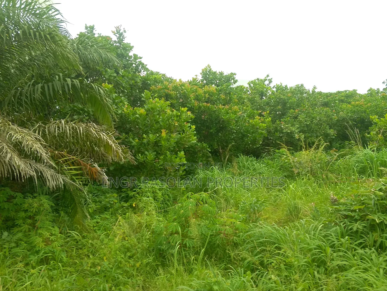 For Sale 7 Plots of Land in Ifelodun-Kwara