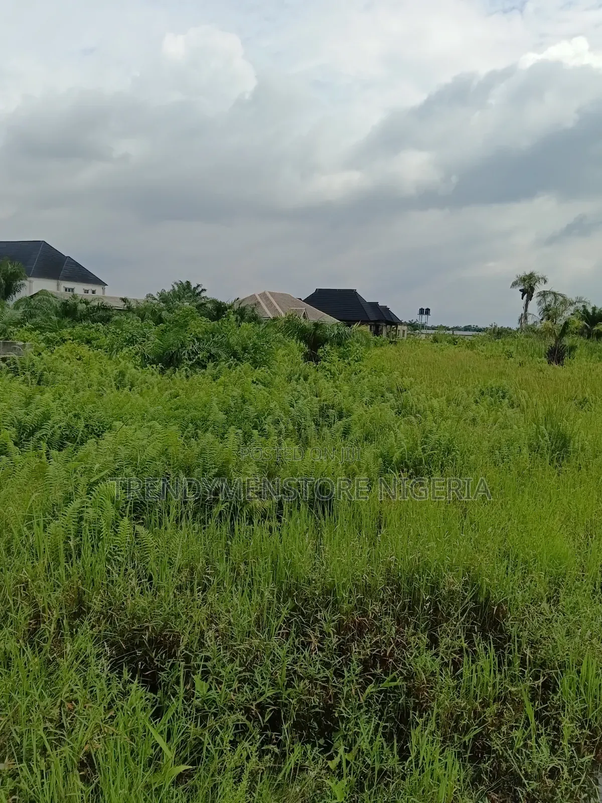 Distress Sale: 6 Plots at Ijagemo, Alaba International Link Express in Ijegun