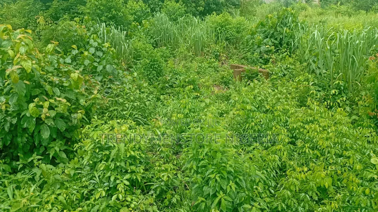 Forsale: 10 Acres Farmland at Imodi Ijasi, Off Ikorodu-Ijebu Ode, Ogun in Ijebu