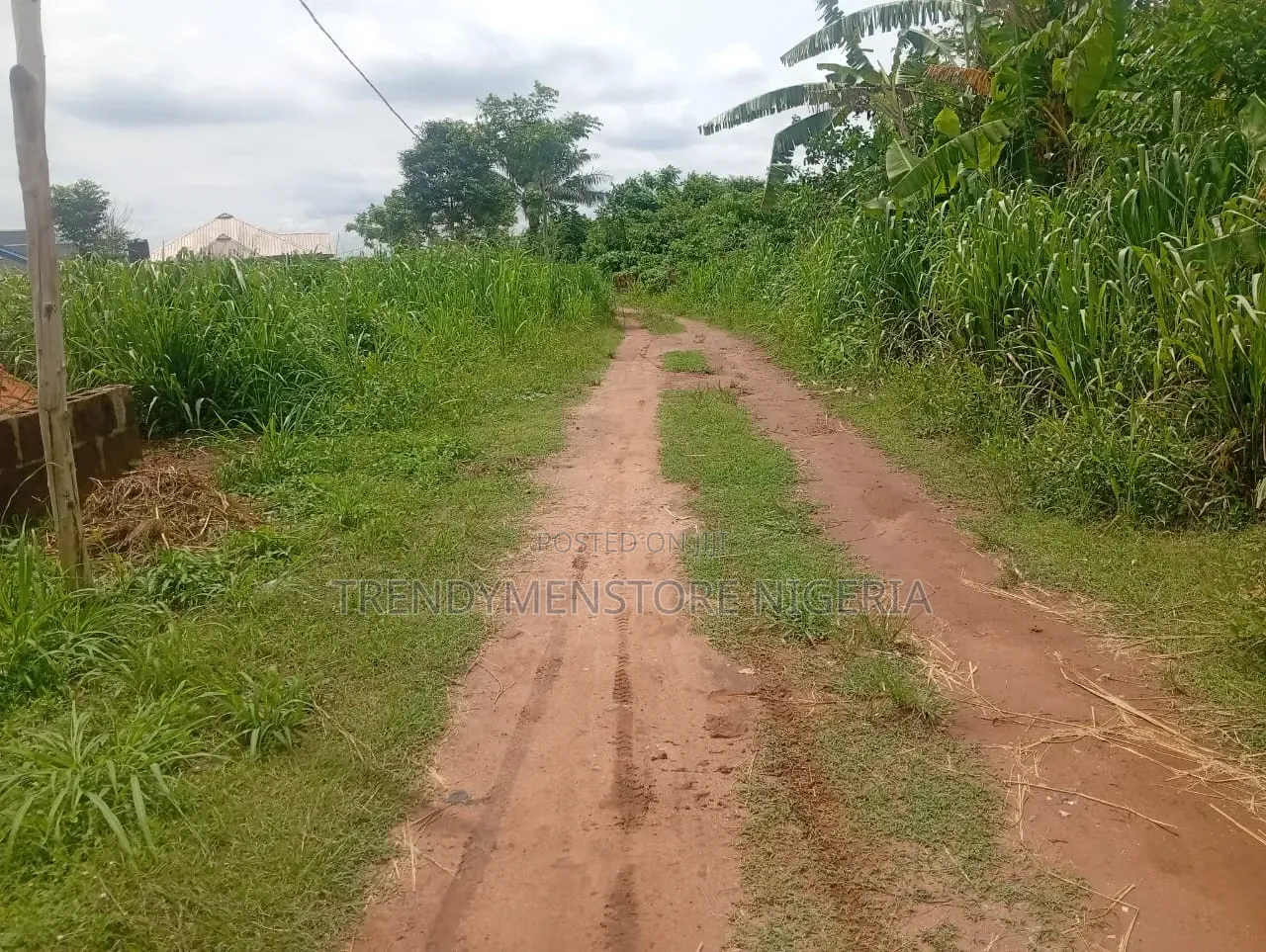 Forsale: 10 Acres Farmland at Imodi Ijasi, Off Ikorodu-Ijebu Ode, Ogun in Ijebu