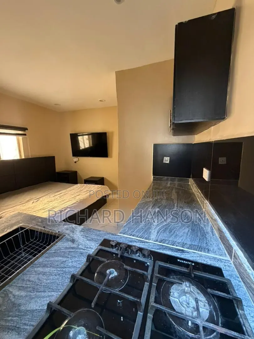 Furnished Studio Apartment for rent in Victoria Island Extension