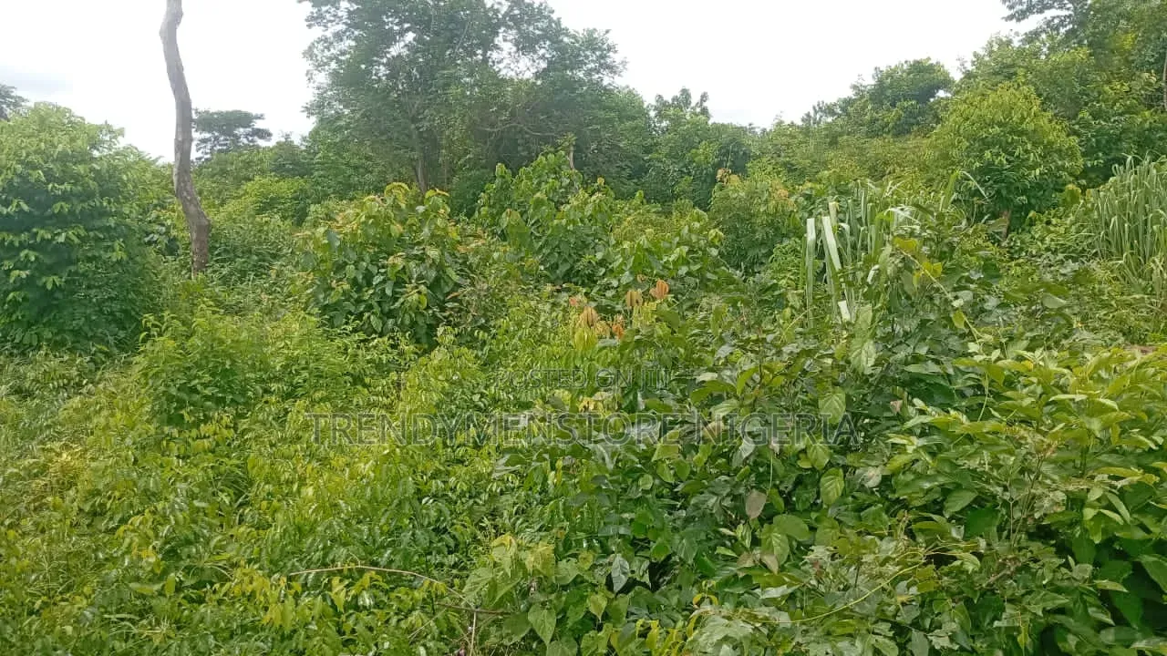 1 Acre of Farmland at Imodi Ijasi Off Itokin-Ijebu Ode Express in Ijebu