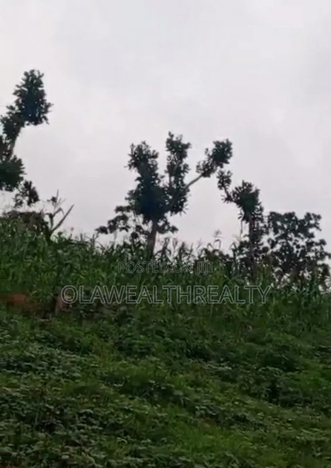 2,261sqm Land at Garki Area 3 in Area 3