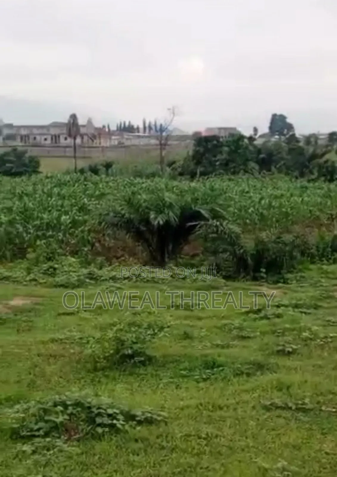4 Hectares Industrial Land at Wasa in Wasa