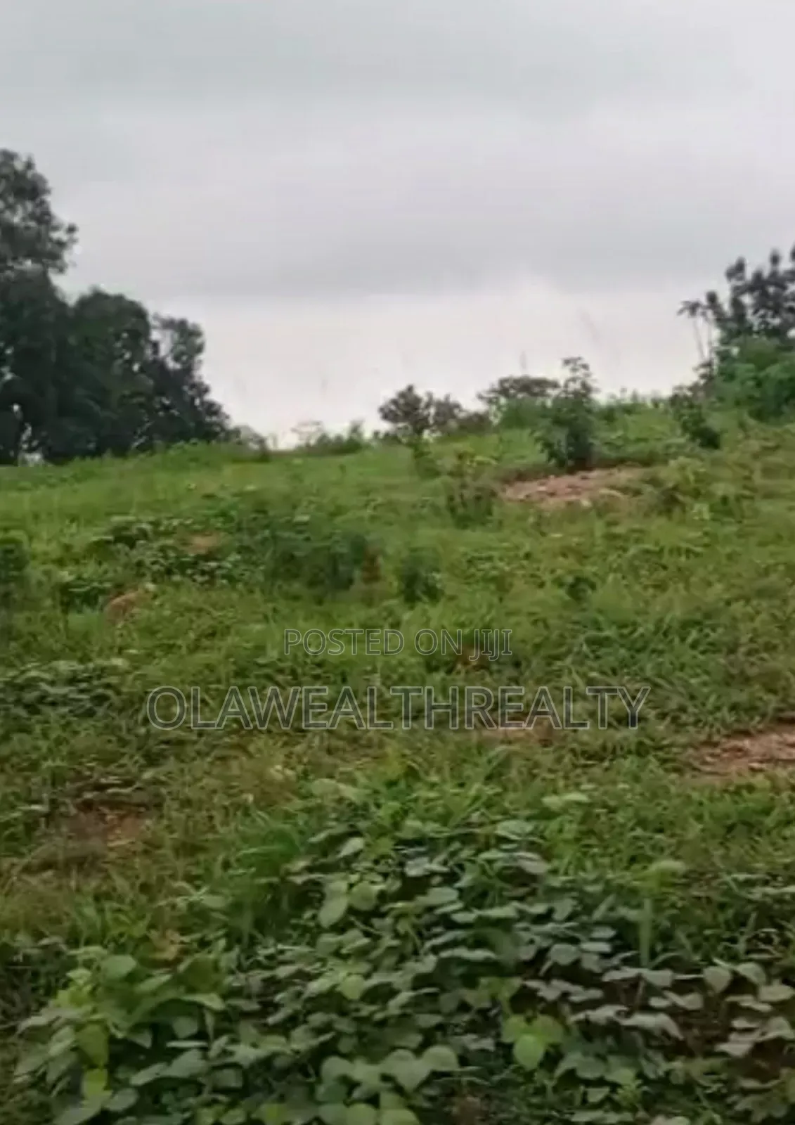4 Hectares Industrial Land at Wasa in Wasa
