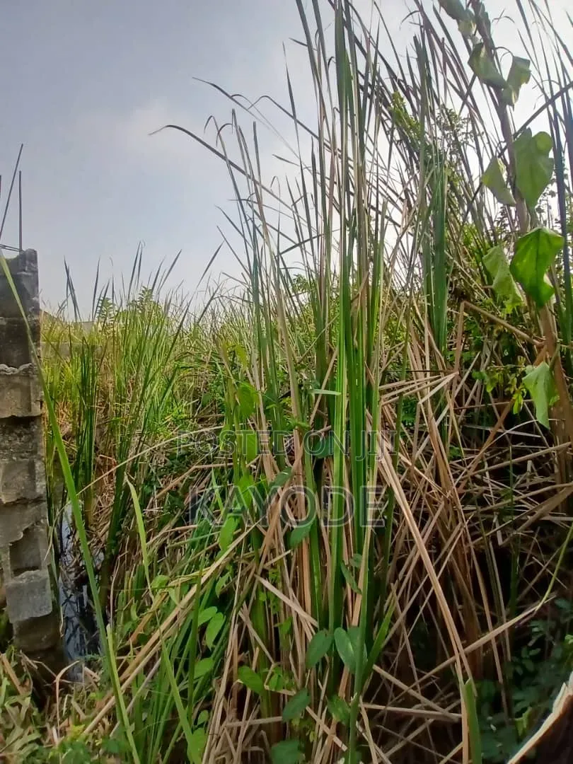 950sqm Land in a Prime Right Behind Kemta in Abeokuta South