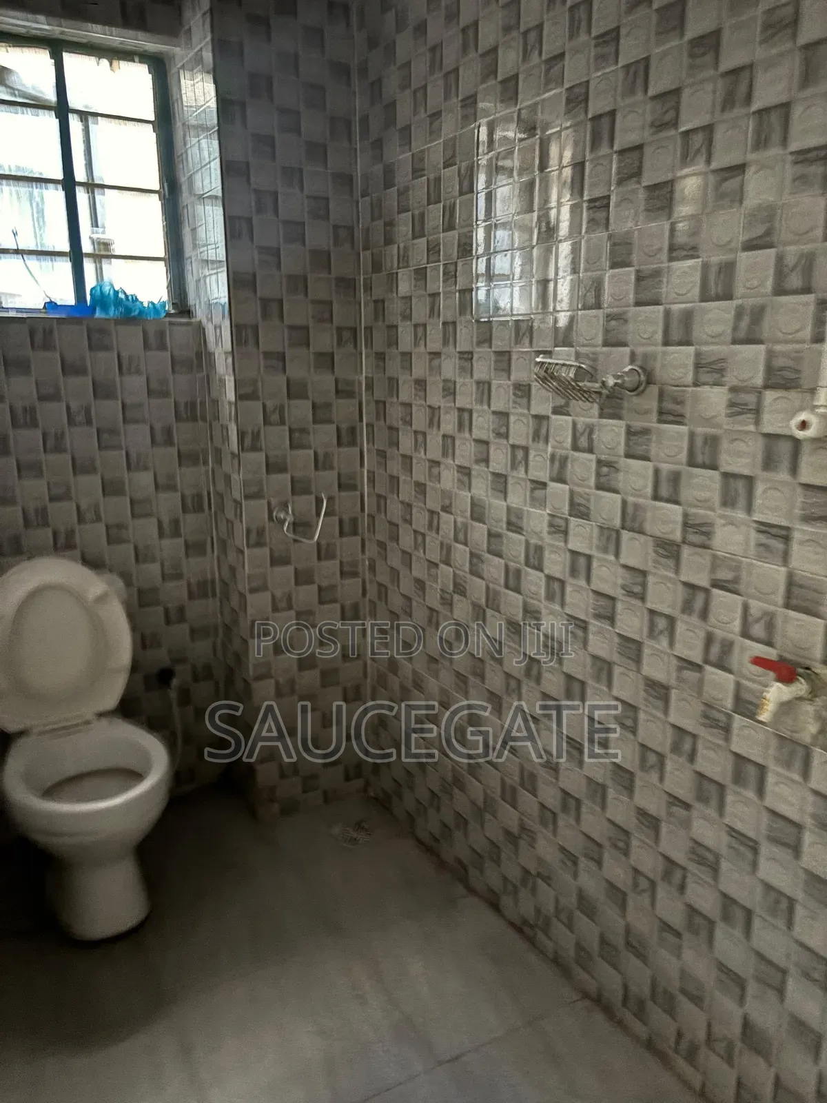 Furnished Mini Flat in Hossan Estate Ago for rent in Ago Palace