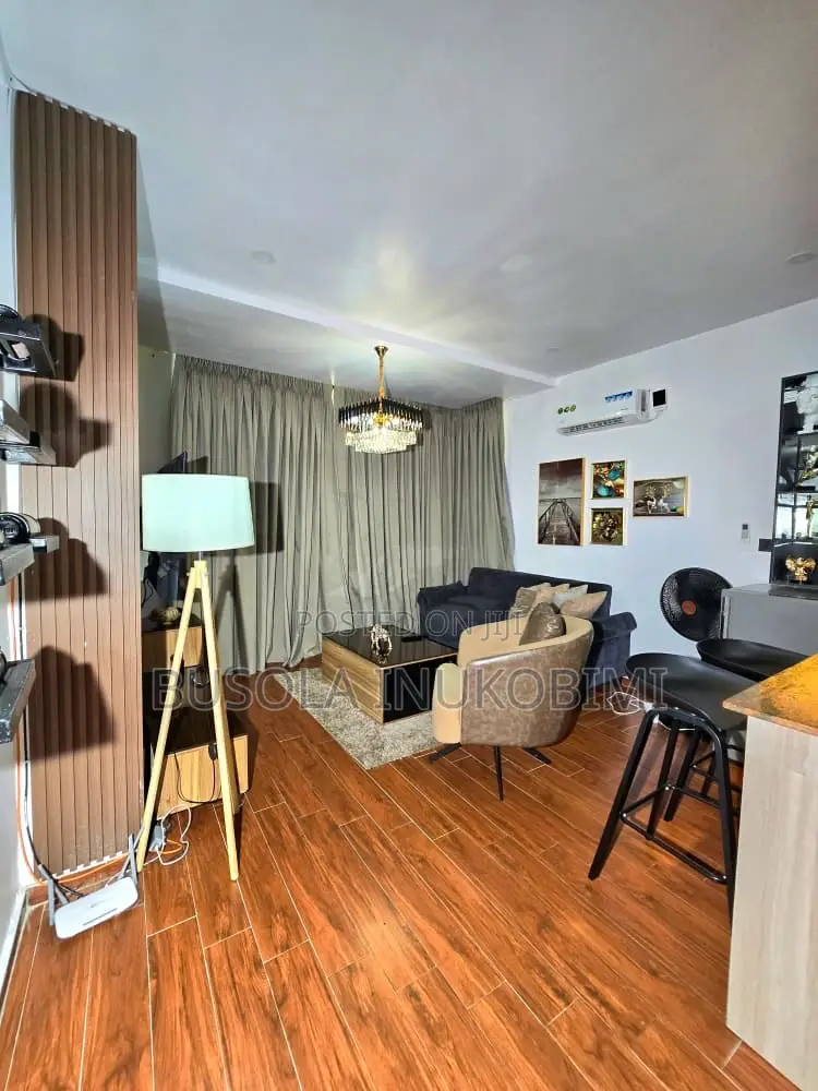 Spacious One Bedroom Shortlet Apartment Ikate in Ikate