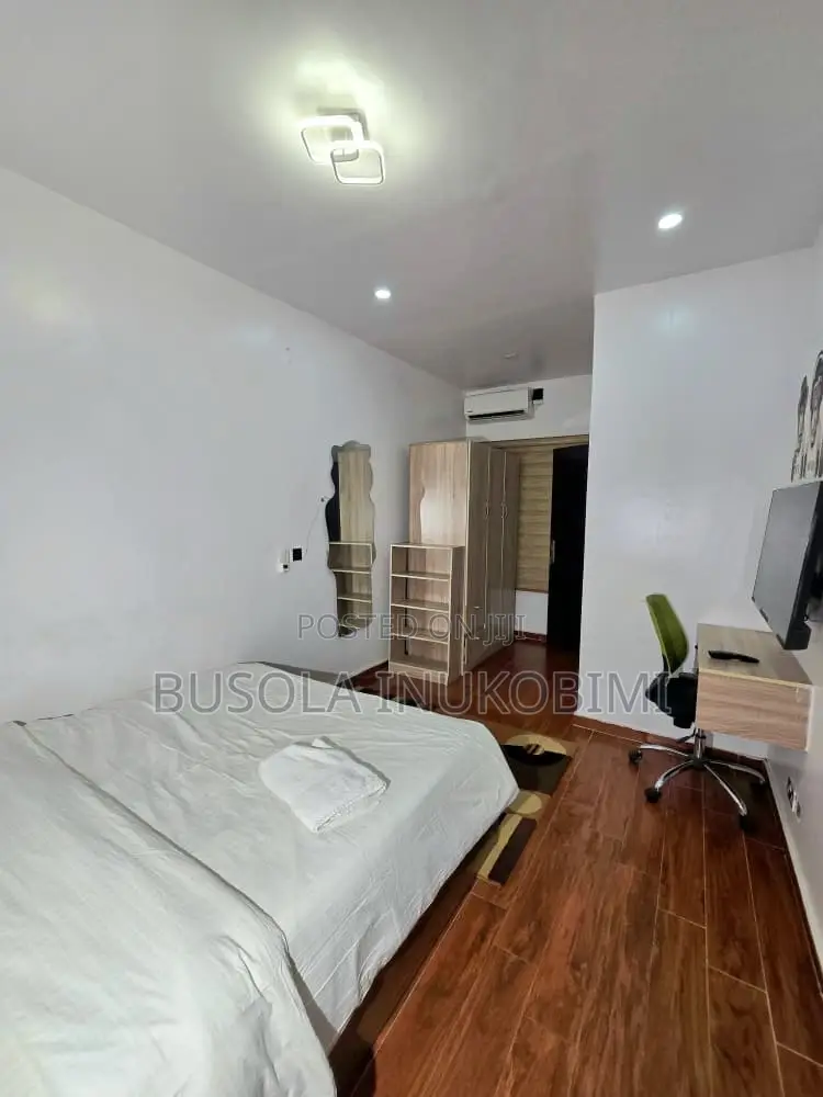 Spacious One Bedroom Shortlet Apartment Ikate in Ikate