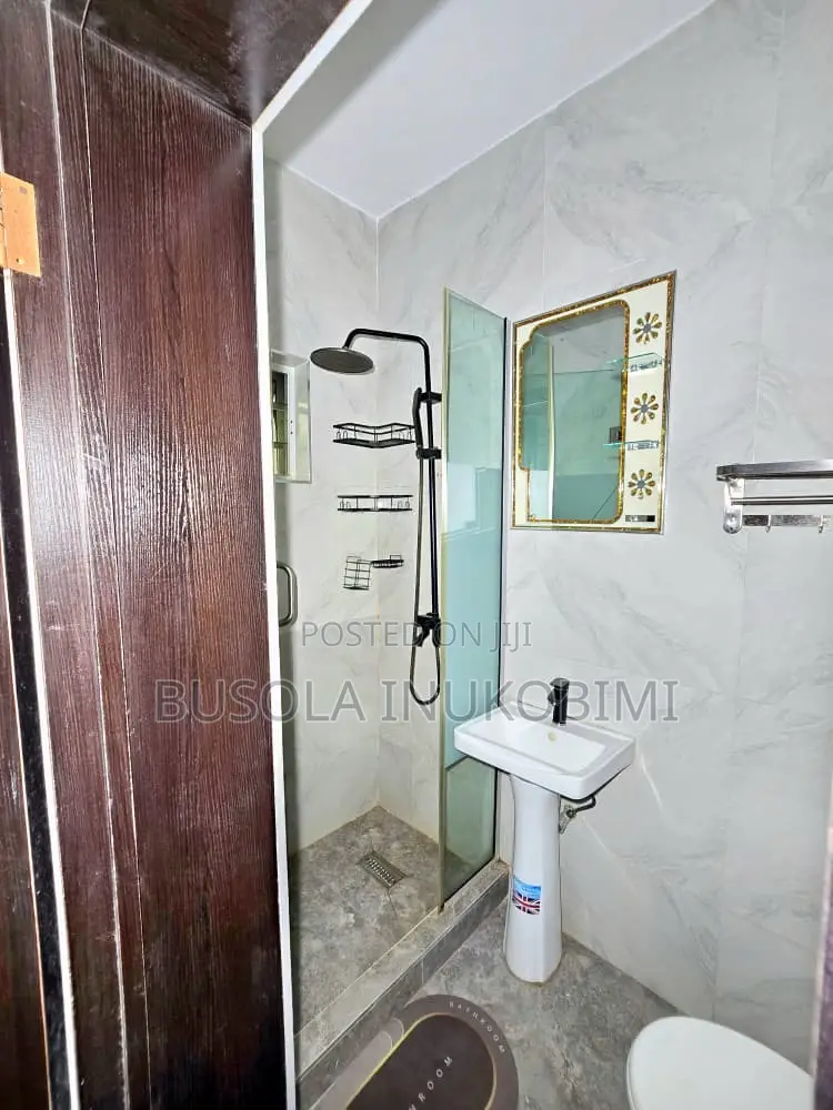 Spacious One Bedroom Shortlet Apartment Ikate in Ikate