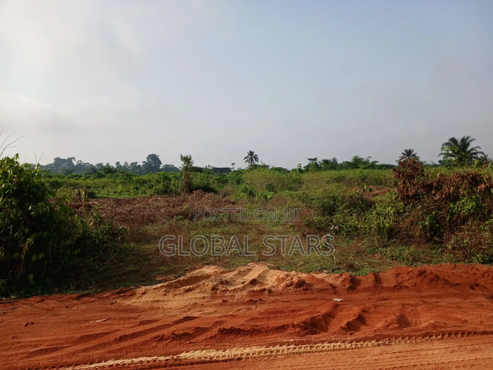 Plots Of Land Available At Premium Locations Along Auchi/Agbor Road in Benin City