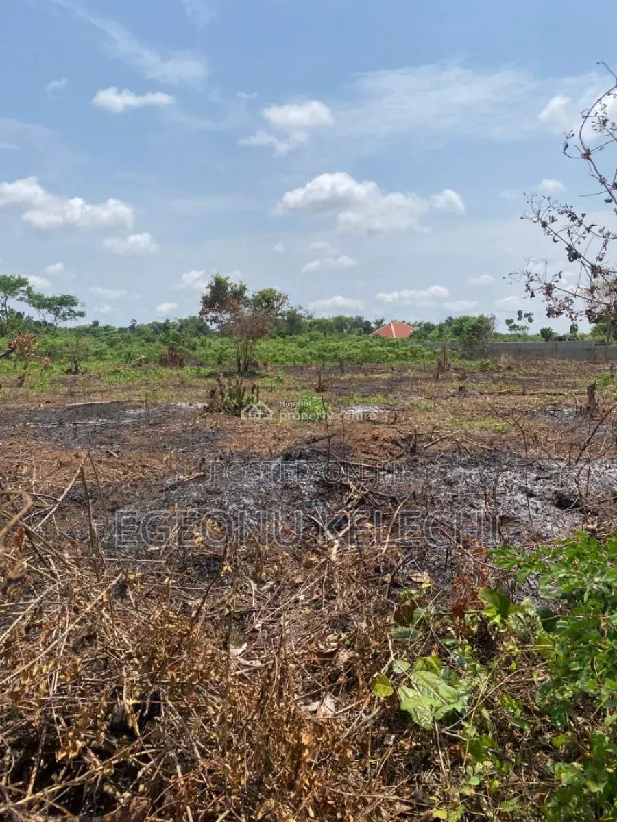 Land for Sale in Aniocha North