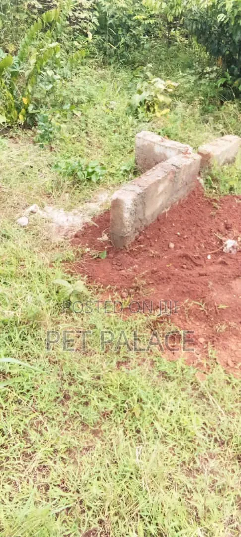 A Plot of Land in Owerri
