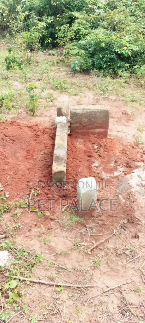 A Plot of Land in Owerri