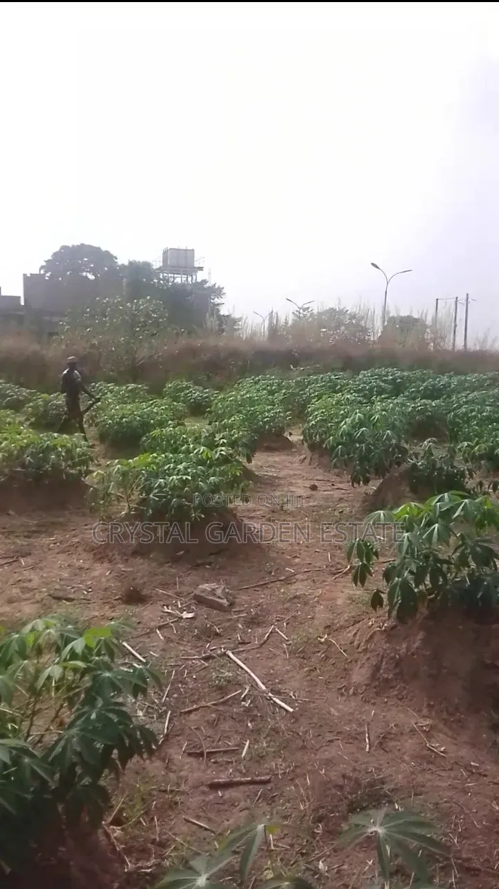 50x100sqm:Land for Sale at Ubulu Okiti in Oshimili North
