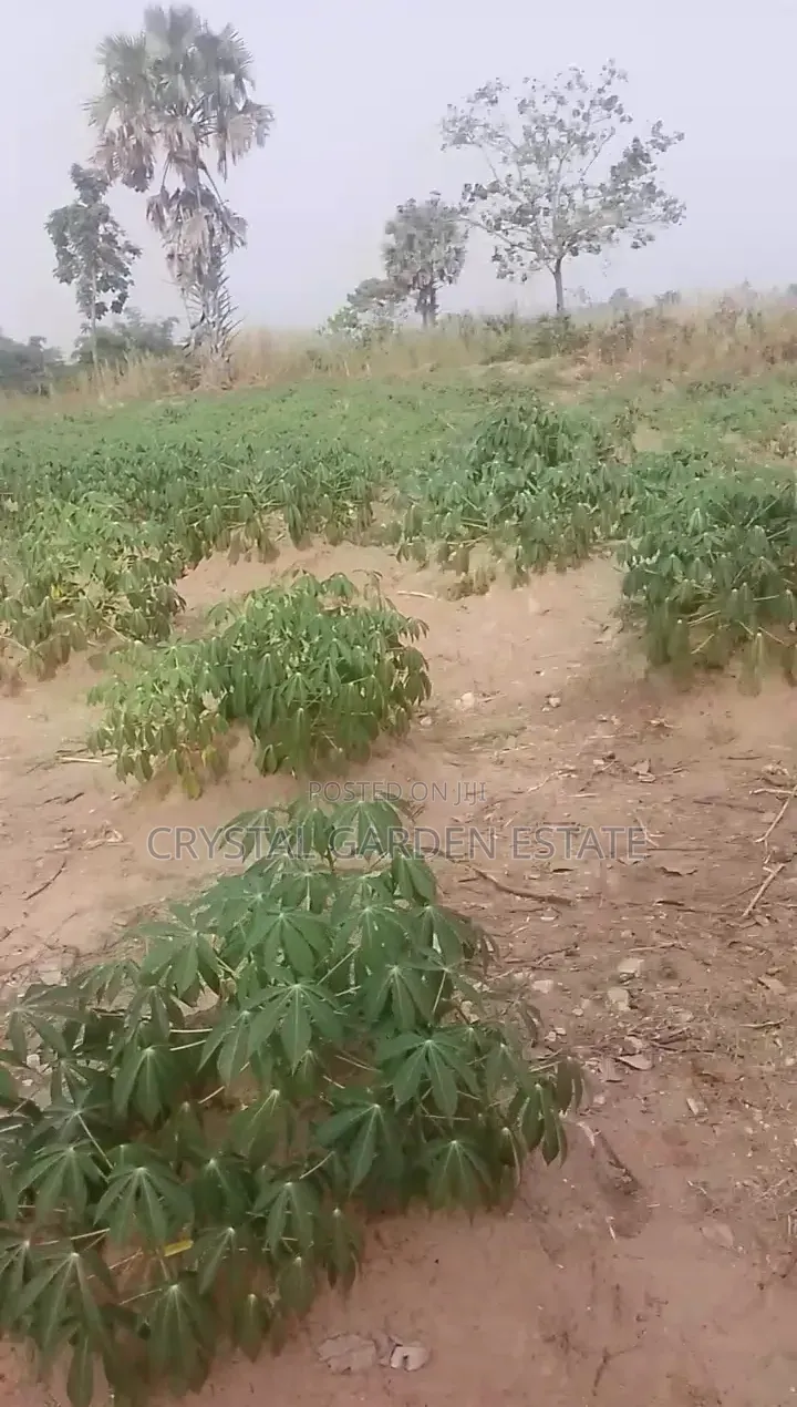 50x100sqm:Land for Sale at Ubulu Okiti in Oshimili North