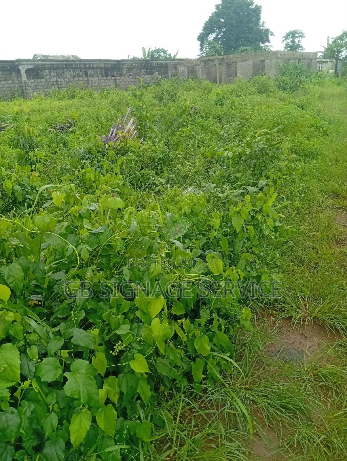 A Plots of Dry Land for Sale in Ado-Odo/Ota