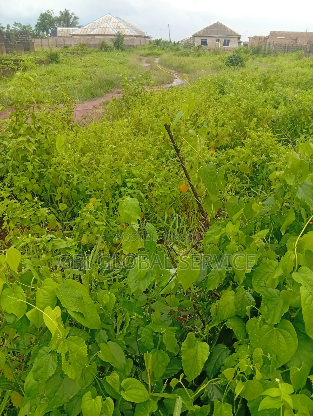 Plot of Dry Land and Acres in Ado-Odo/Ota