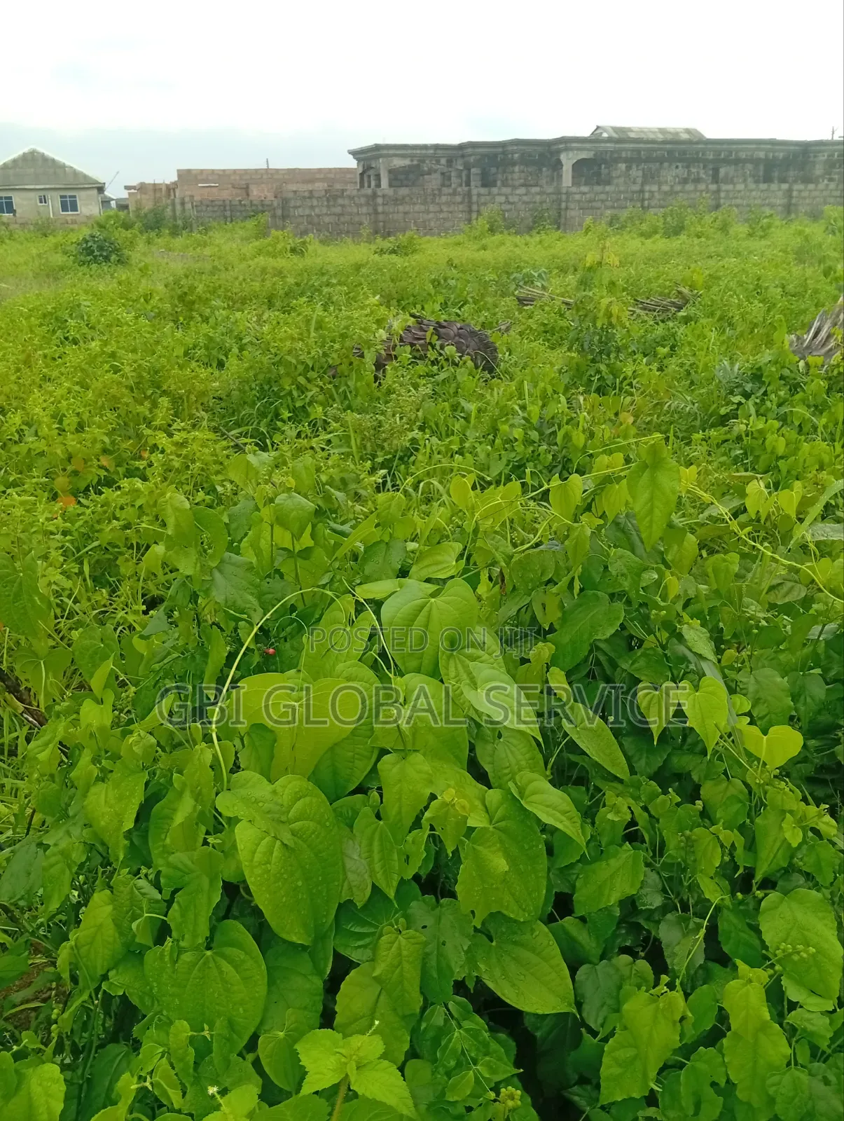 Plot of Dry Land and Acres in Ado-Odo/Ota