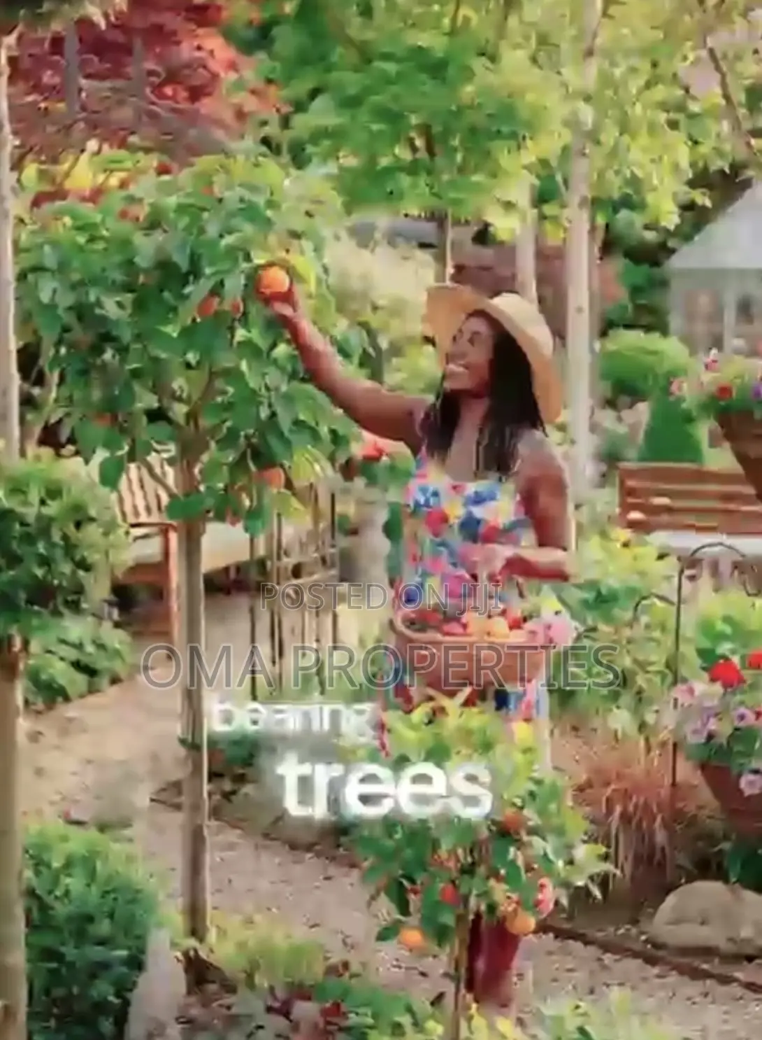 Welcome To Alpha Garden City Resort – Where Nature, Investment, in Oyo