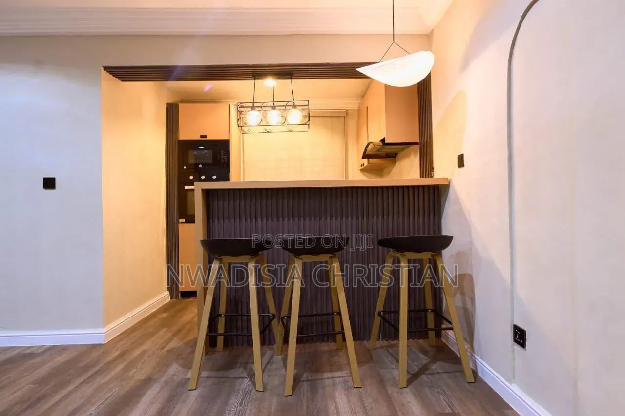 Glorious One Bedroom Apartment in Maitama