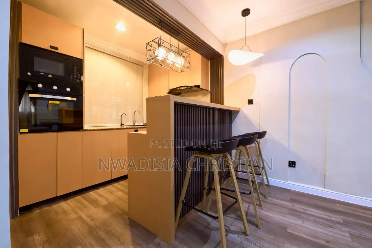 Glorious One Bedroom Apartment in Maitama