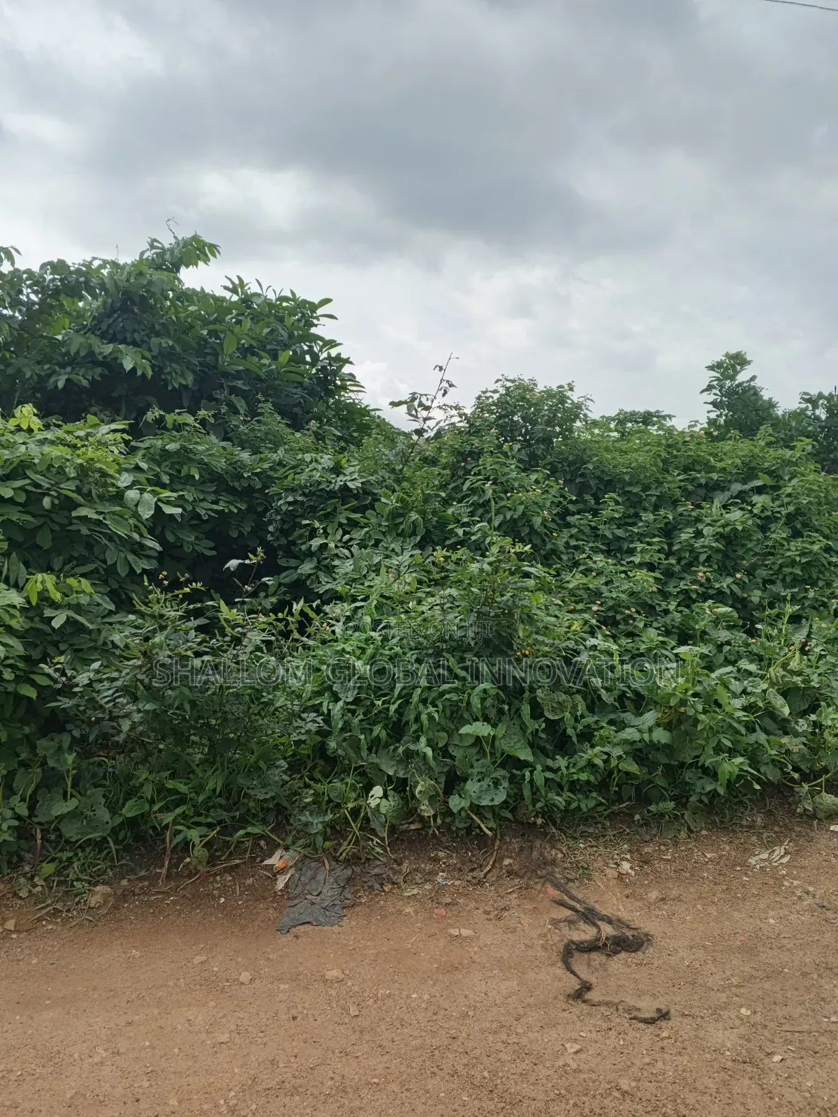 Land And Plot For Sale in Akobo