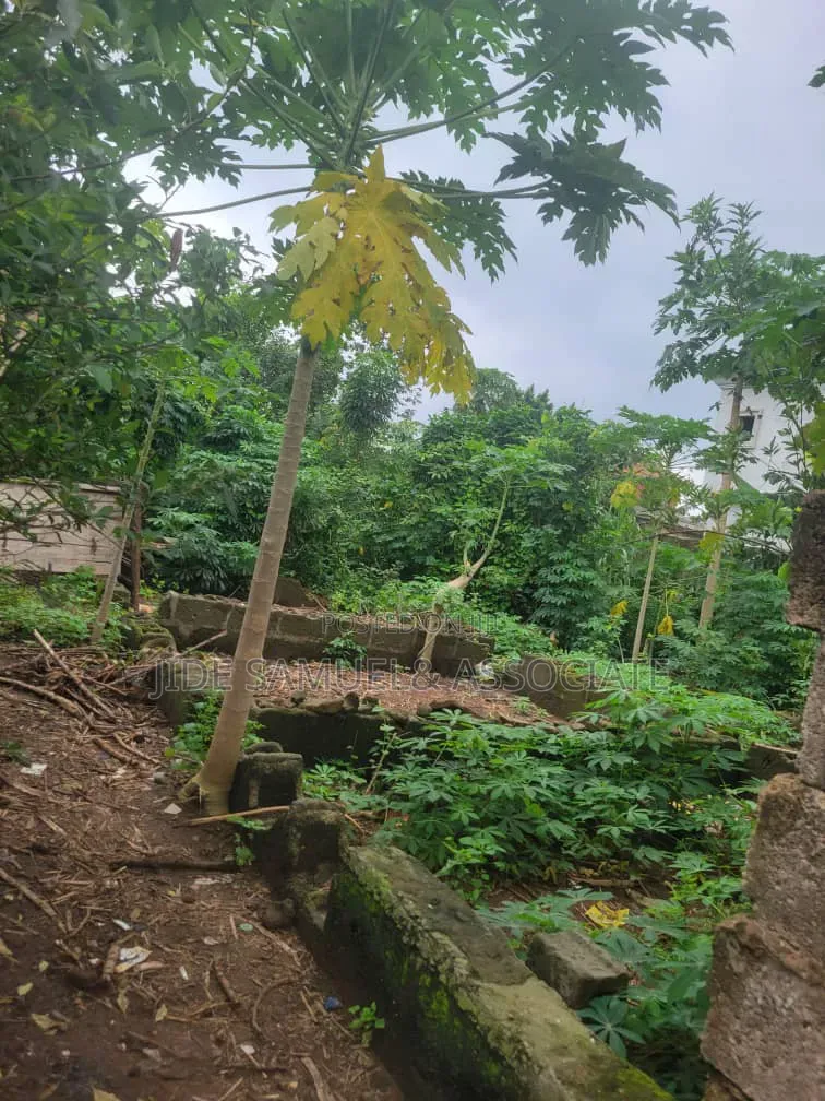 Full Plots of Land at Onibeji Ayobo Lagos in Ayobo