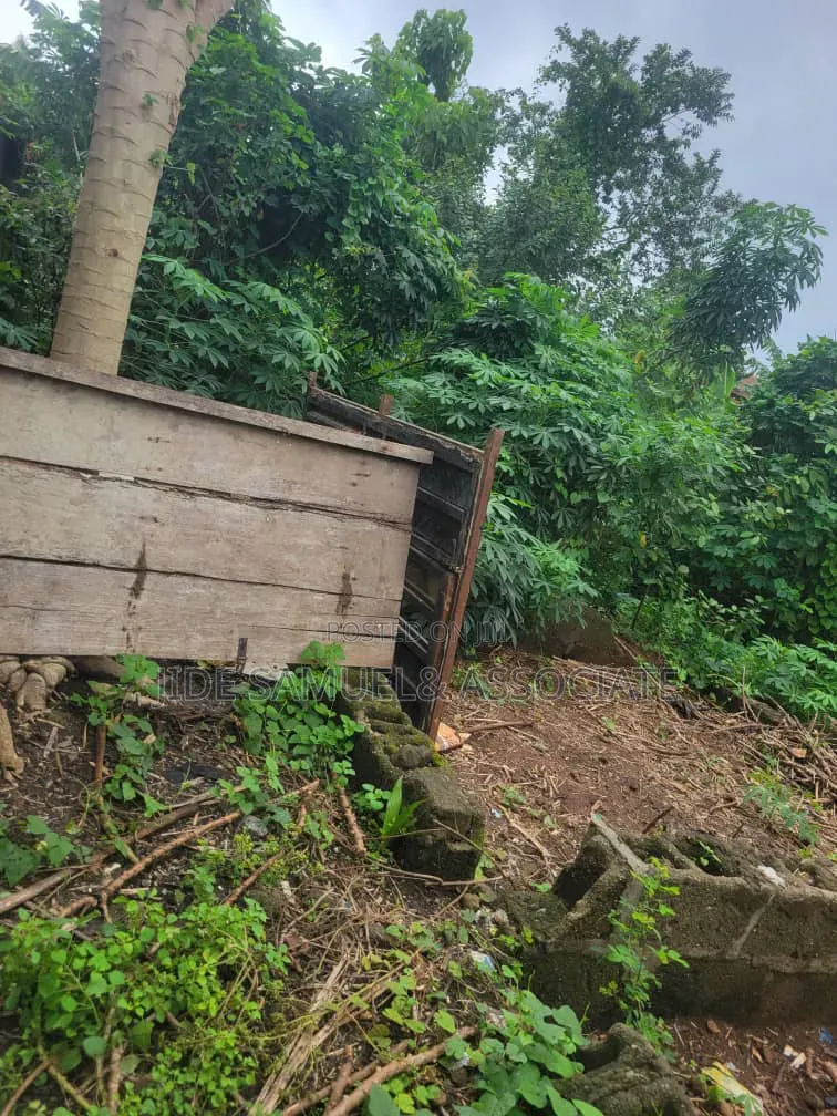 Full Plots of Land at Onibeji Ayobo Lagos in Ayobo