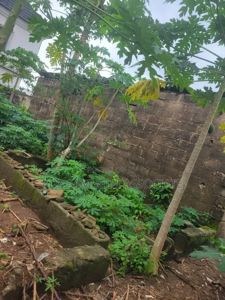 Full Plots of Land at Onibeji Ayobo Lagos in Ayobo