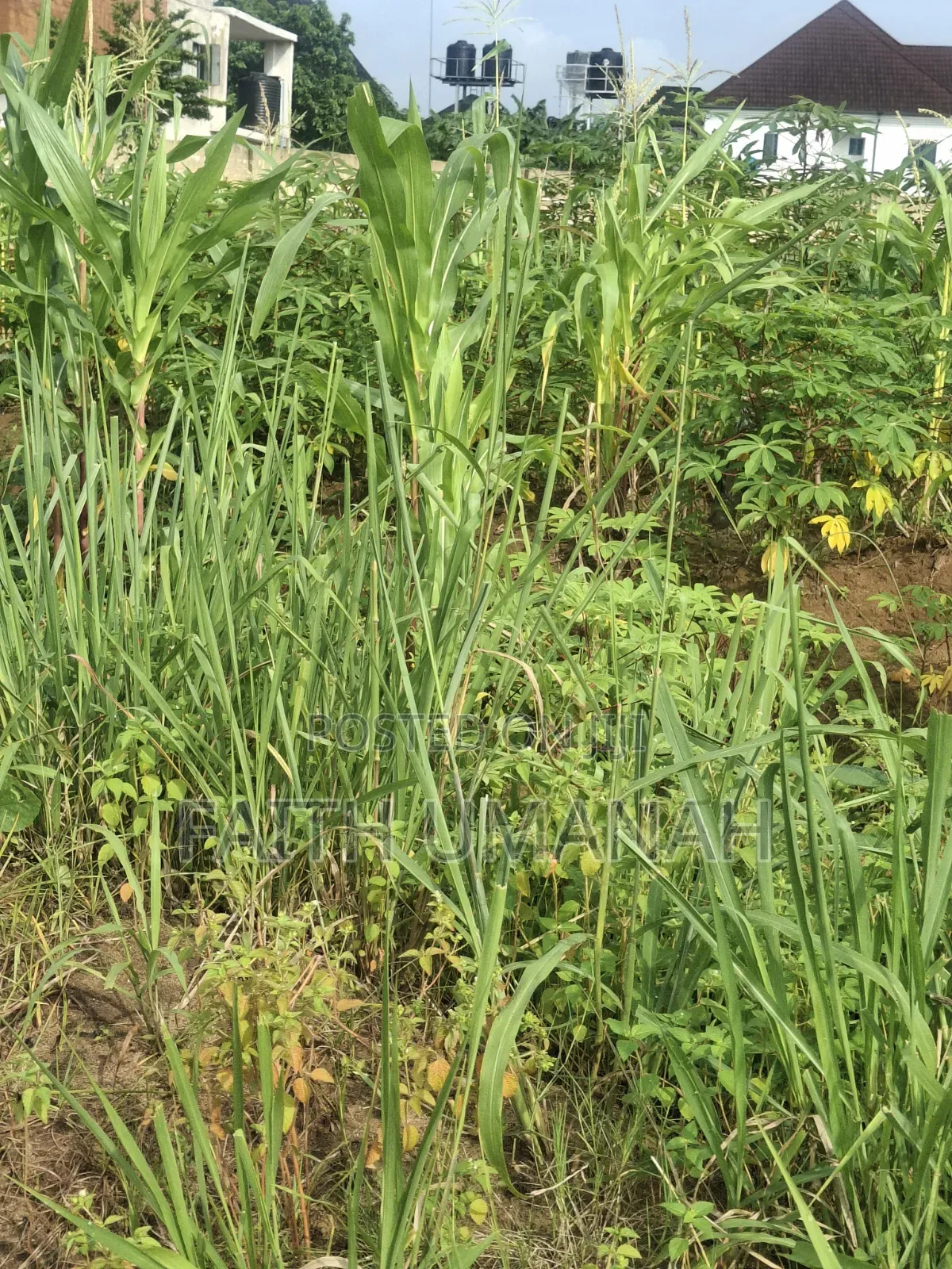 Estate Land For Sale in Uyo