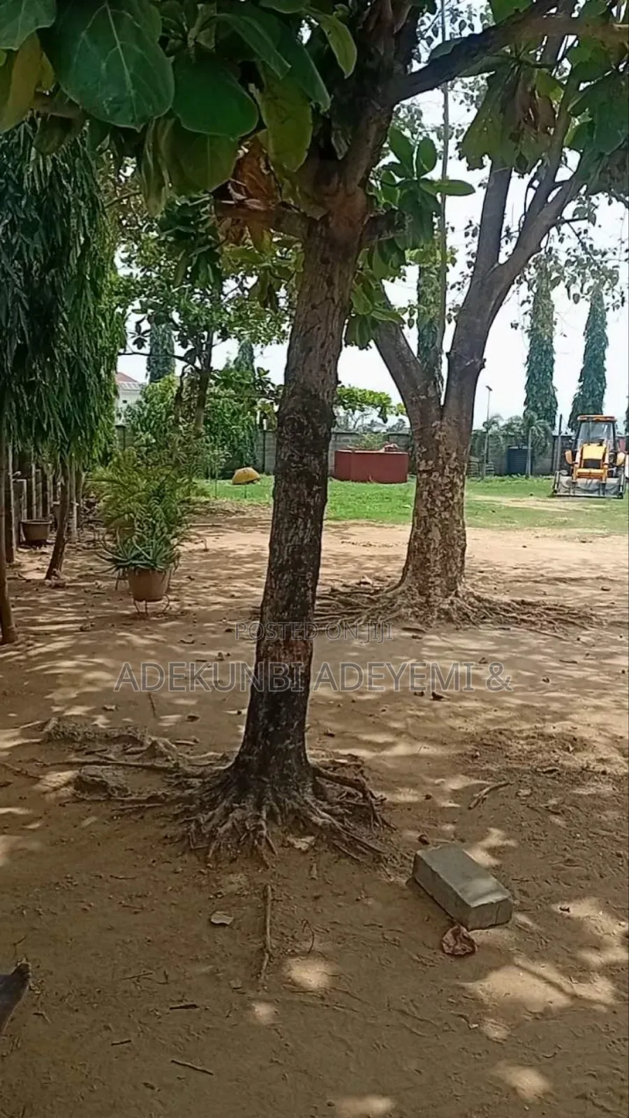 Bare Land for Sale in Jahi