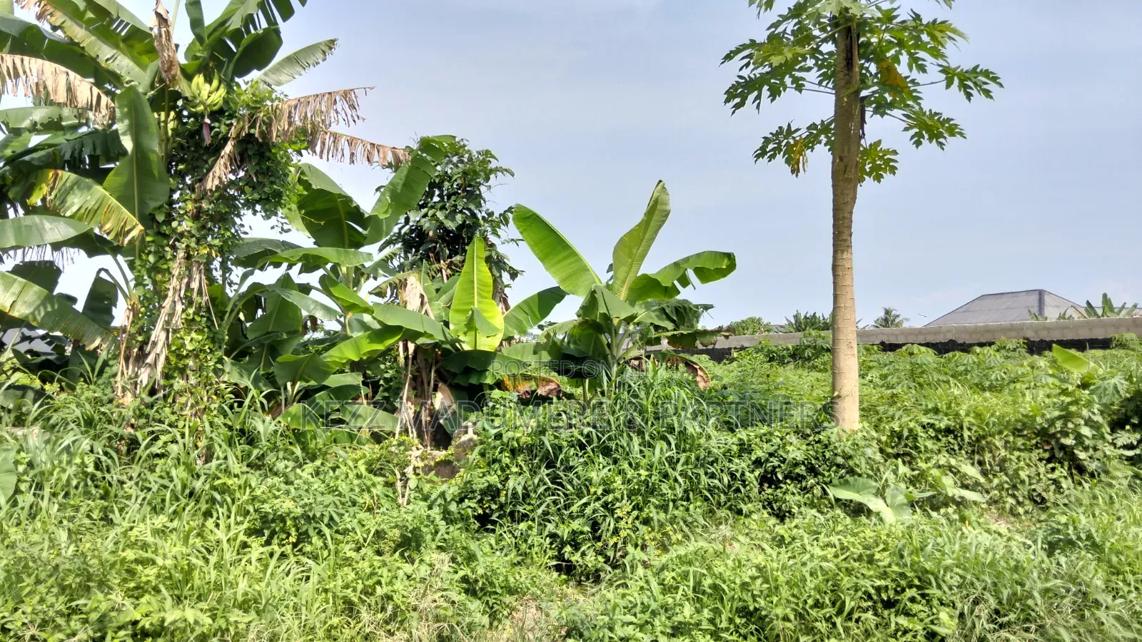 For Sale : 150 Plots At Omuike , Aluu , Rivers State in Ikwerre