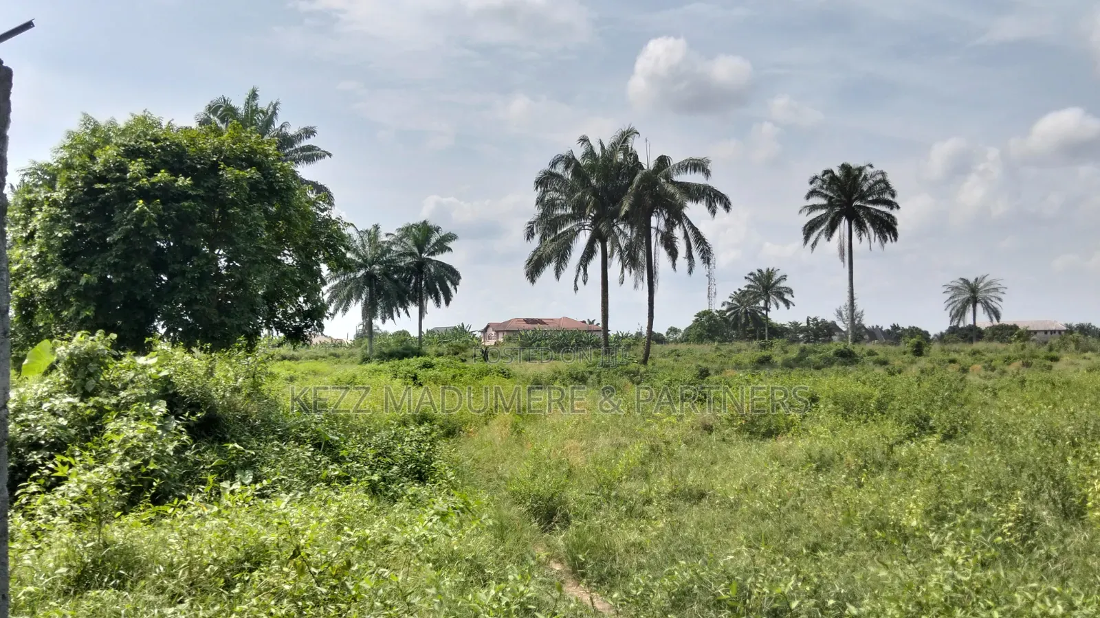 For Sale : 50 Plots Omuda Aluu, Ph in Ikwerre