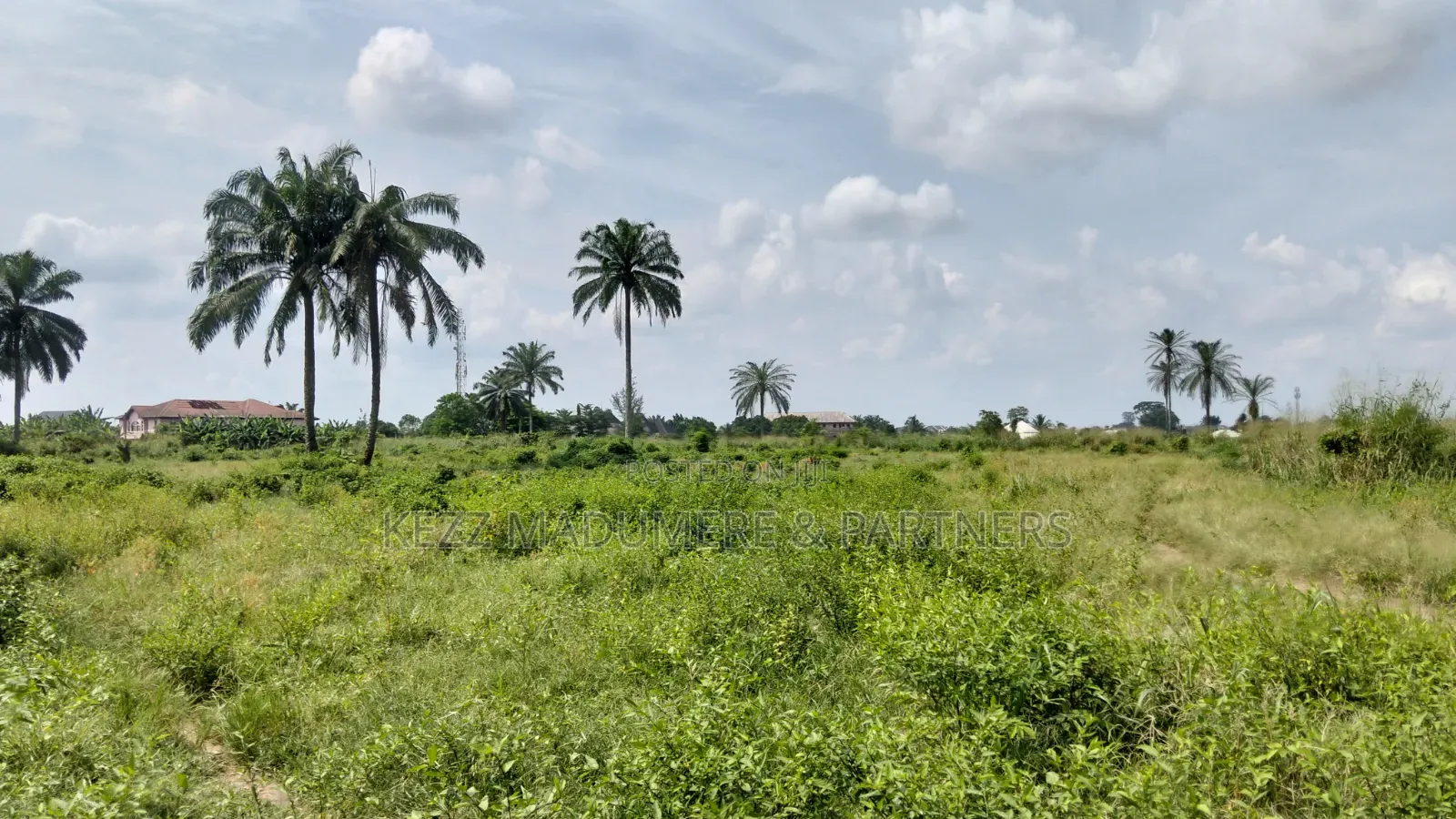 For Sale : 50 Plots Omuda Aluu, Ph in Ikwerre