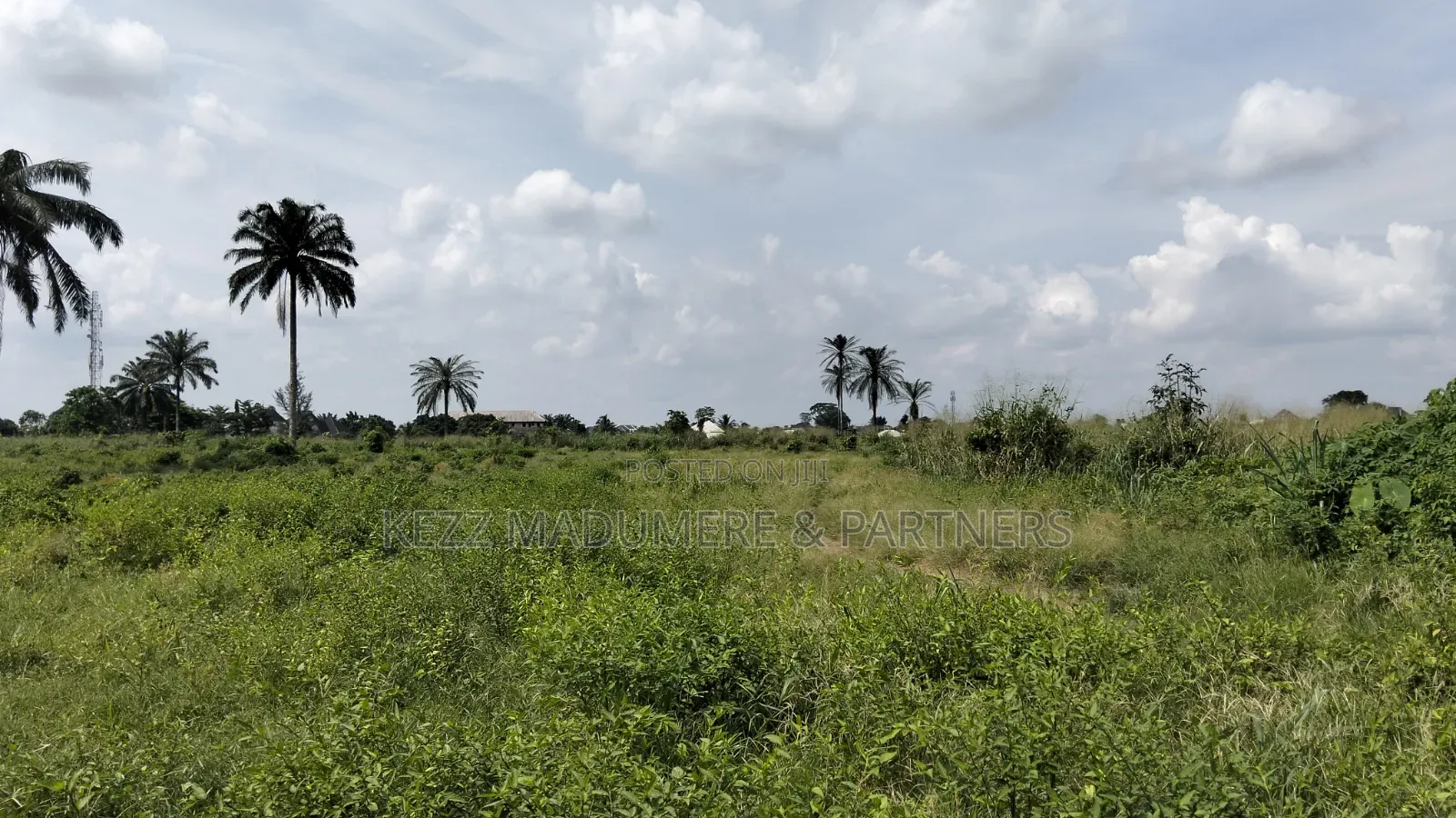 For Sale : 50 Plots Omuda Aluu, Ph in Ikwerre