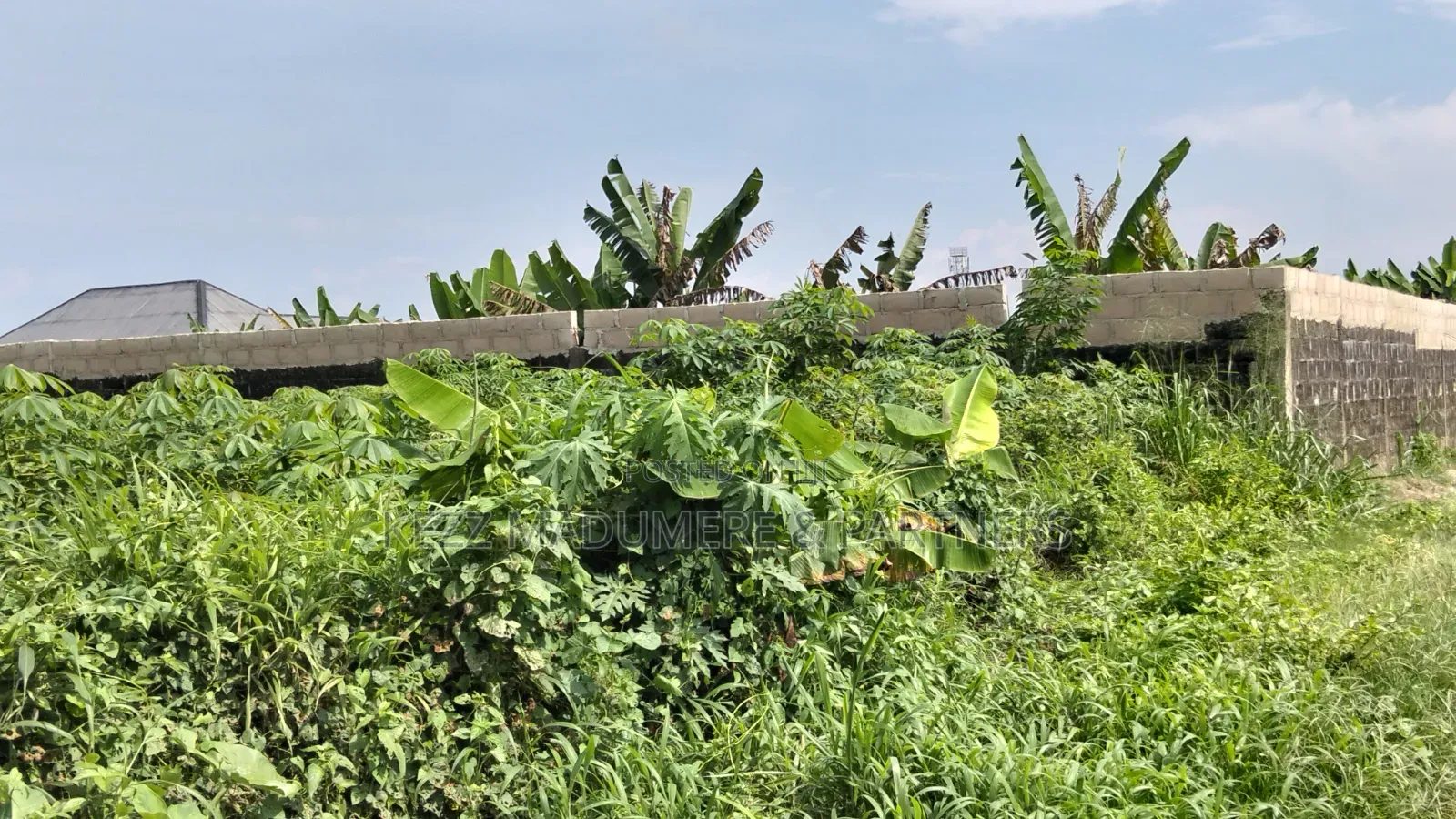 For Sale : 50 Plots Omuda Aluu, Ph in Ikwerre