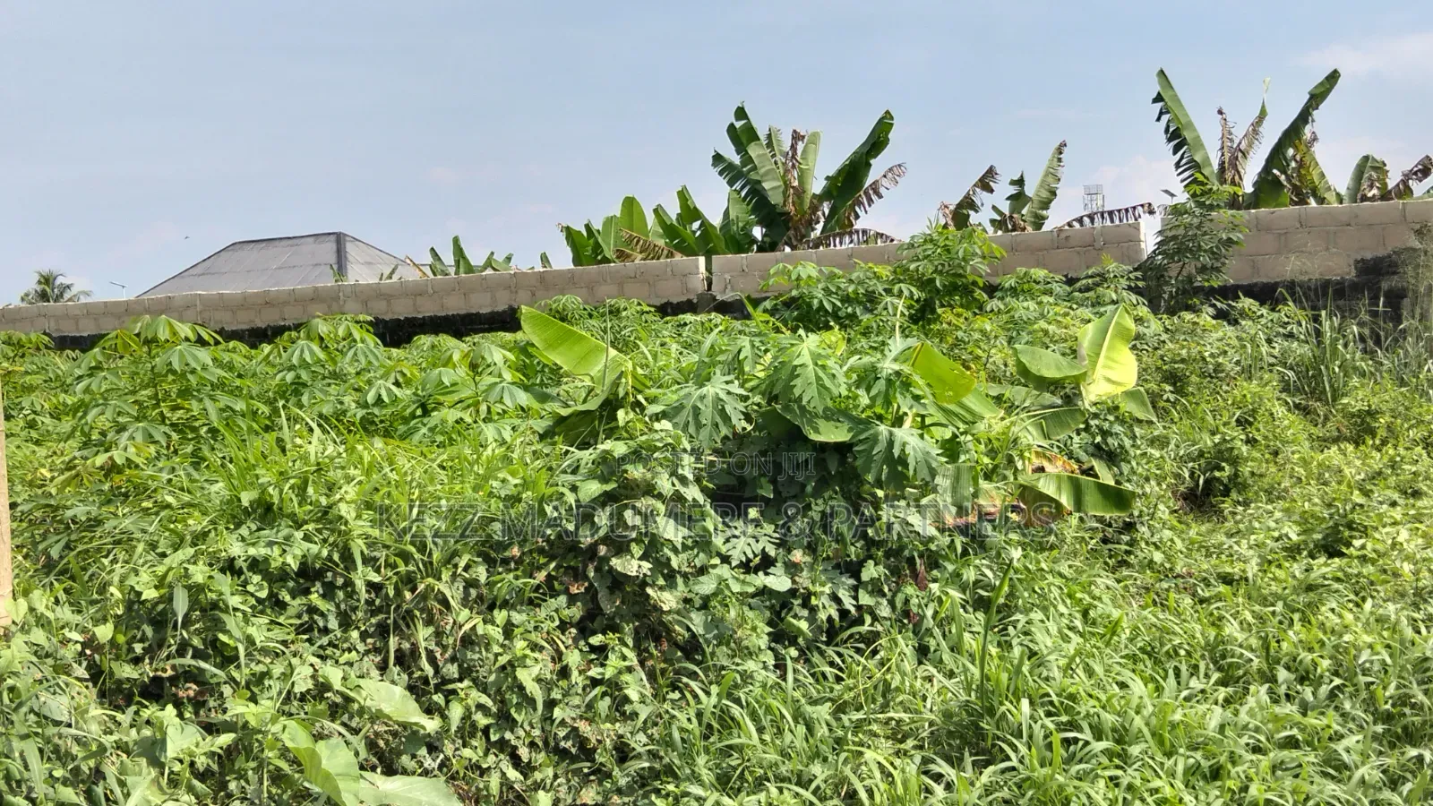 For Sale : 50 Plots Omuda Aluu, Ph in Ikwerre