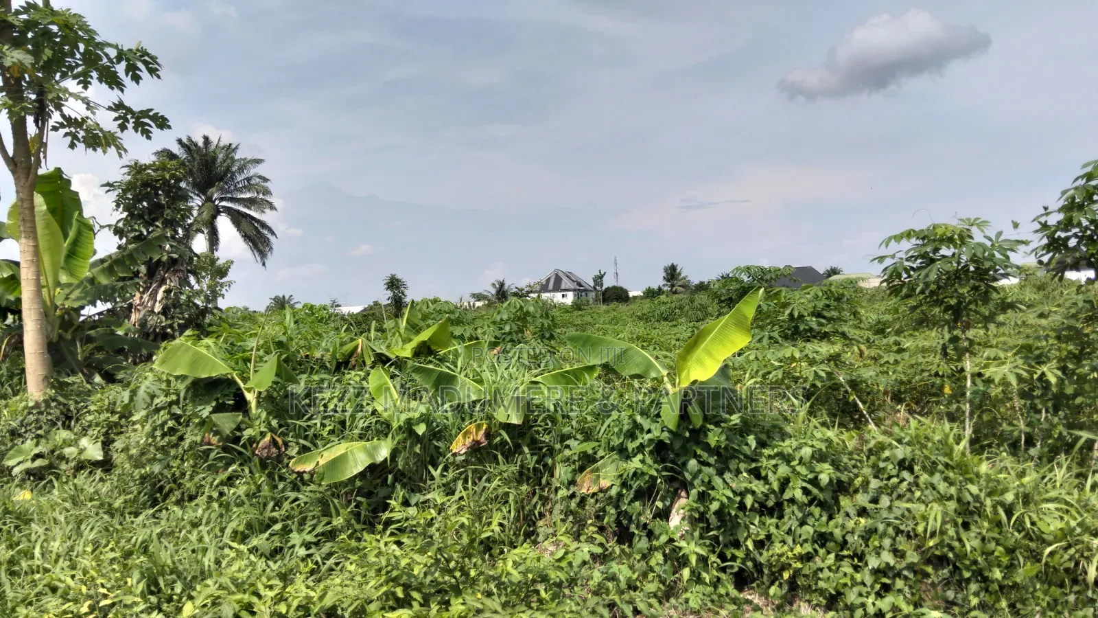 For Sale : 2 Plots at Mbodo Aluu Port Harcourt in Ikwerre
