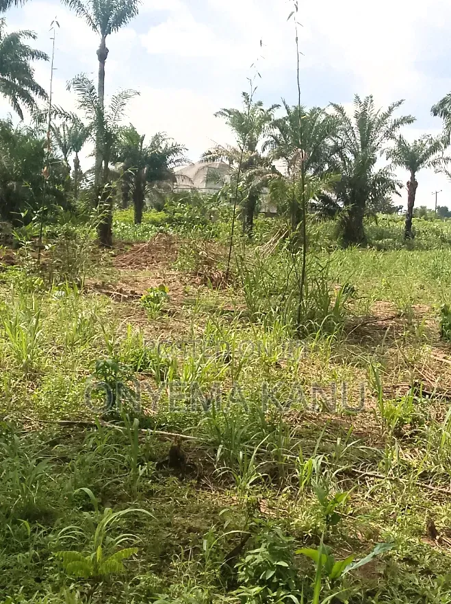 60 Plots for Industrial, Agricultural Use. in Isiala Ngwa