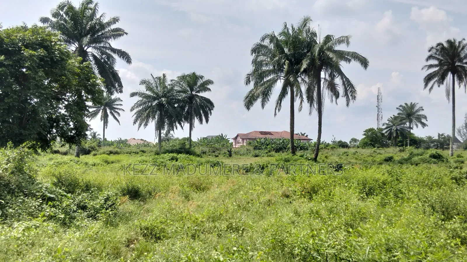 For Sale : 11 Plots at Road 20 ,Sars Road, Port Harcourt in Rumuahalu
