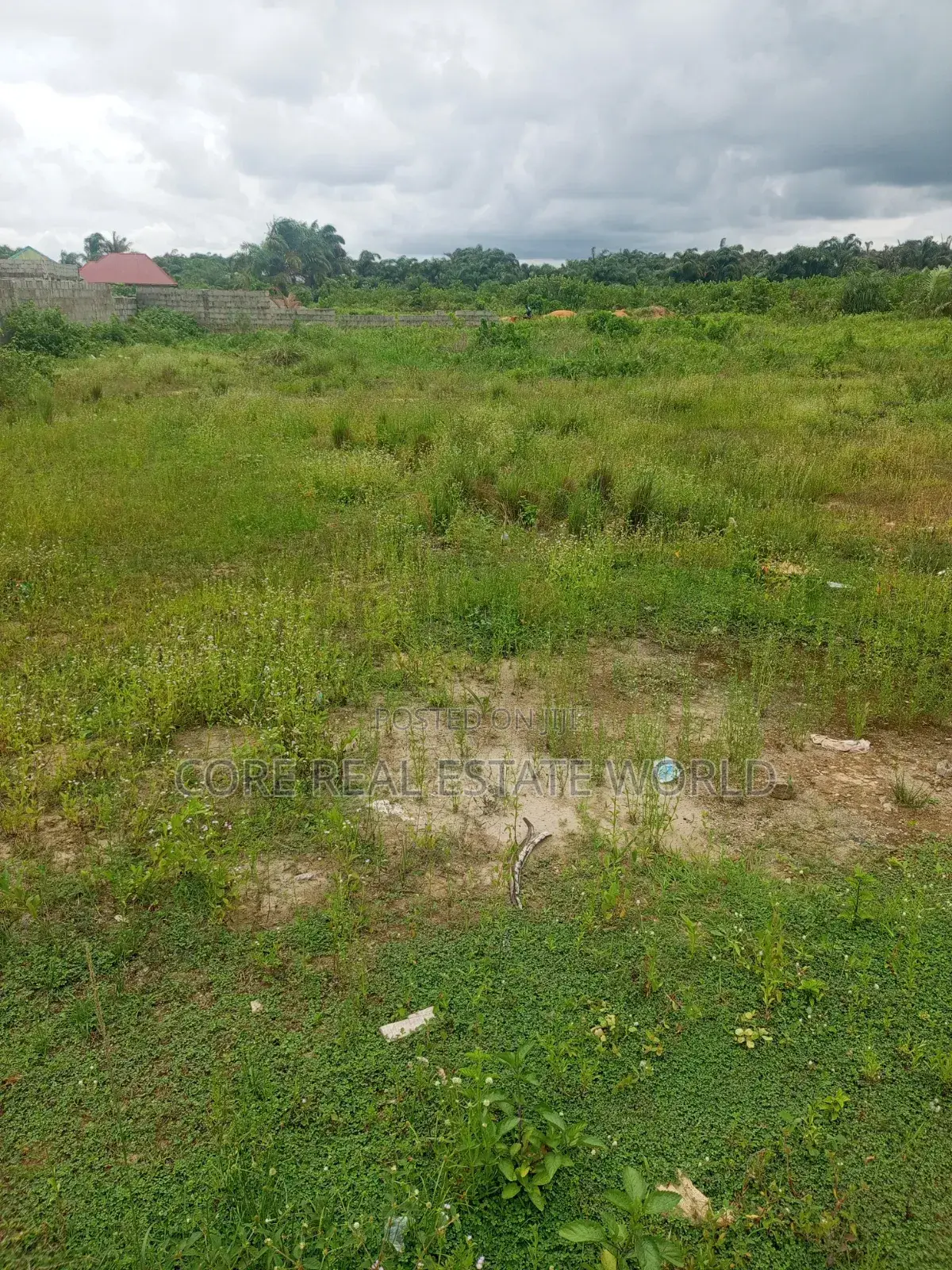 Olunde Olomi Land Academy Rd Ibadan, Pay and Get Allocated in Olomi